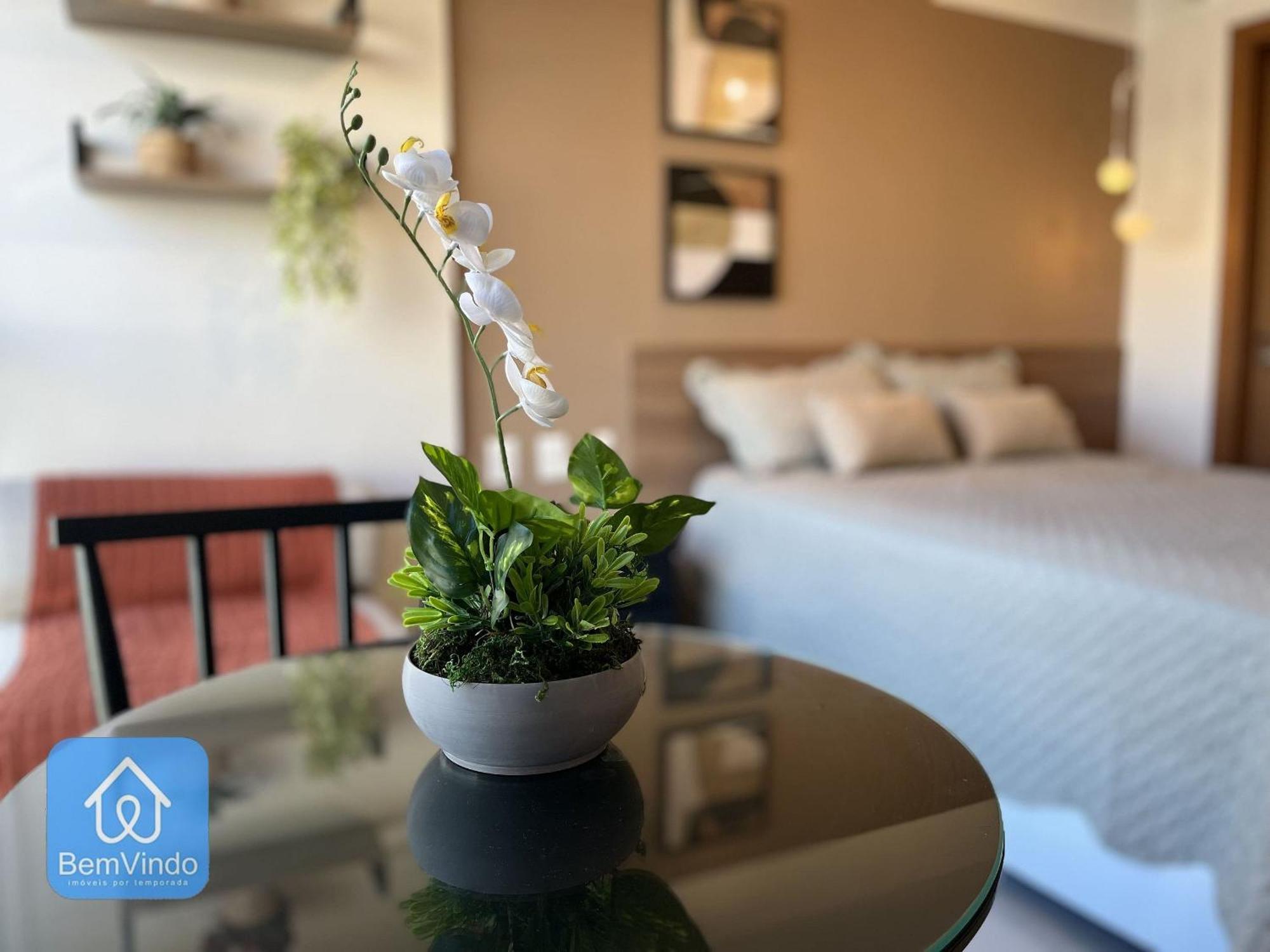Apartamento Estudio De Luxo Completo No Zn Barra